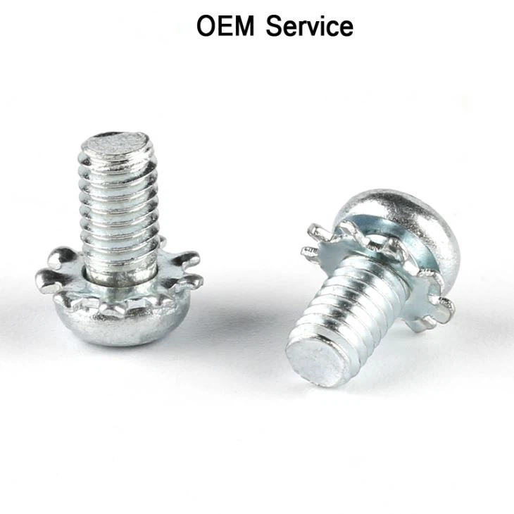 Sems Screw With Lock Washer